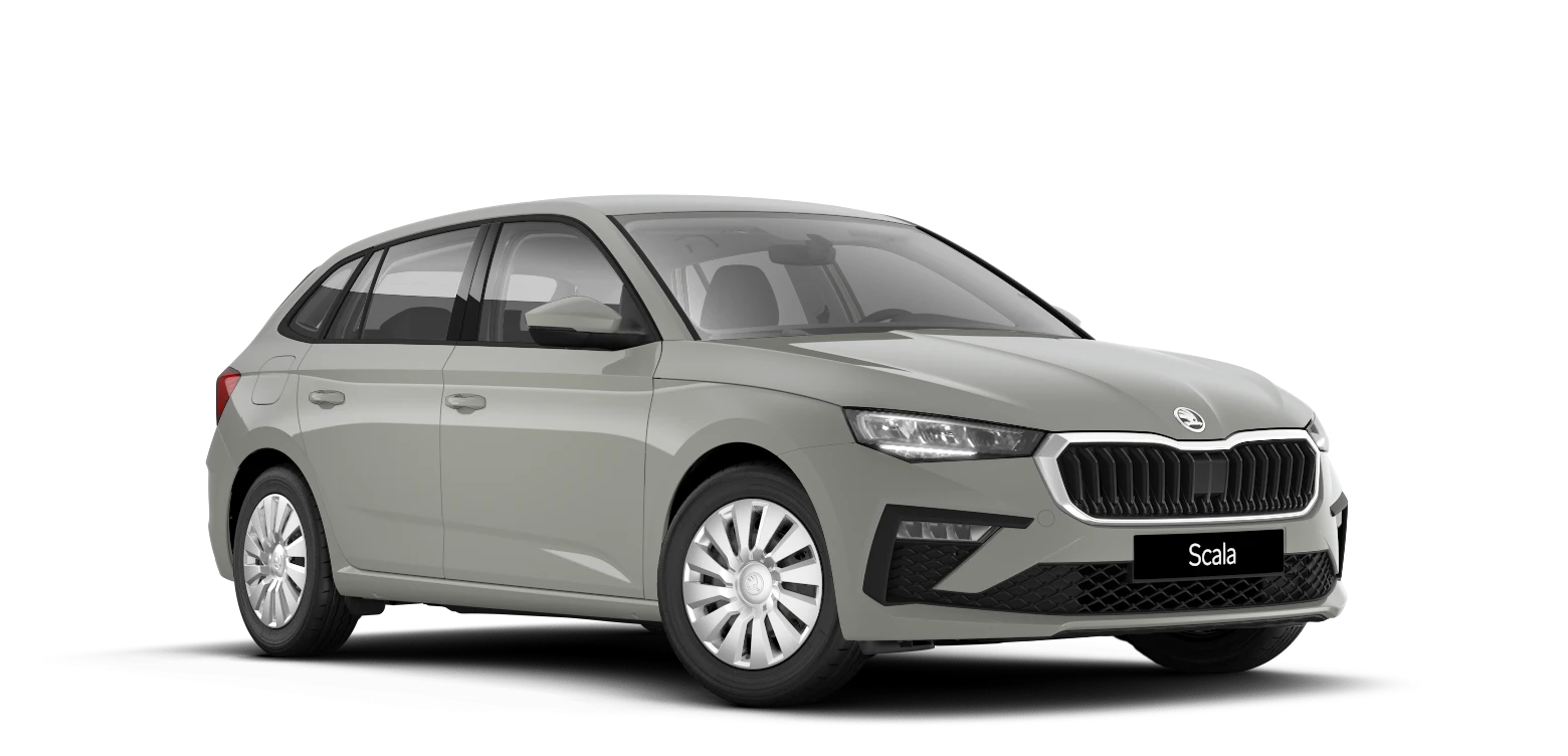Ein grauer Skoda Scala von der Seite